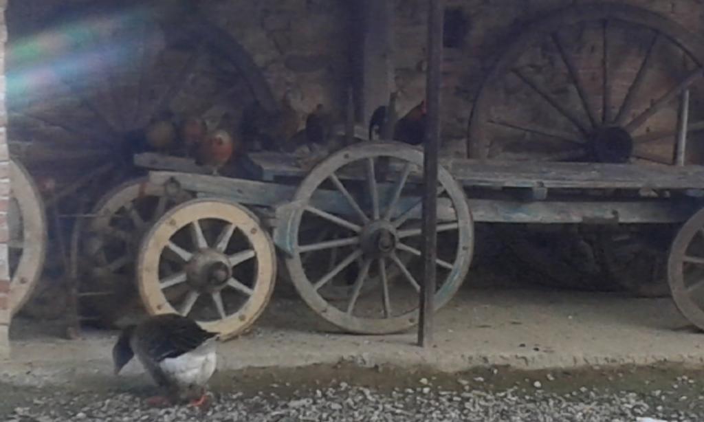 Agriturismo Il Vecchio Portico Francavilla Bisio Bagian luar foto