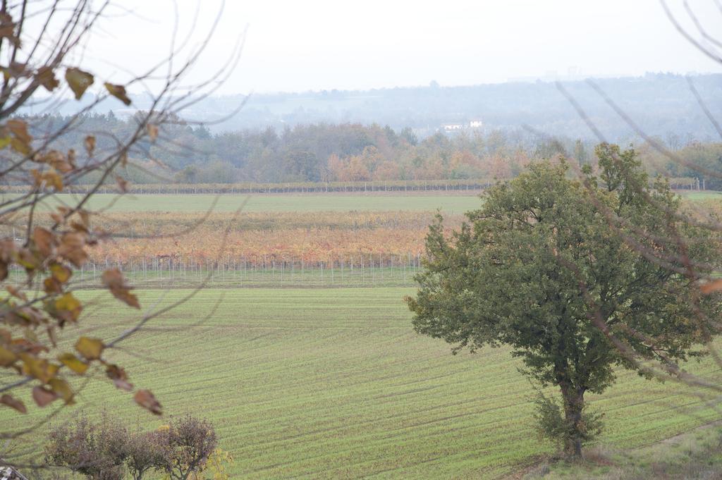 Agriturismo Il Vecchio Portico Francavilla Bisio Bagian luar foto